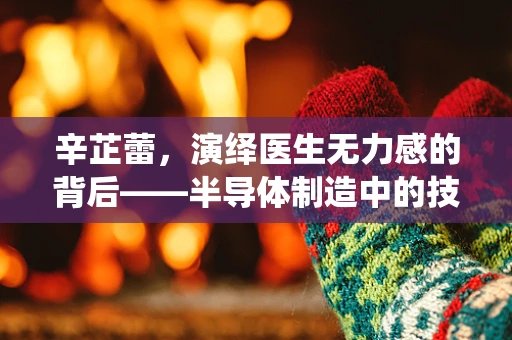 辛芷蕾，演绎医生无力感的背后——半导体制造中的技术局限与人性光辉