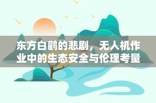 东方白鹳的悲剧，无人机作业中的生态安全与伦理考量