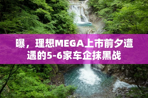 曝，理想MEGA上市前夕遭遇的5-6家车企抹黑战