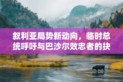 叙利亚局势新动向，临时总统呼吁与巴沙尔效忠者的抉择
