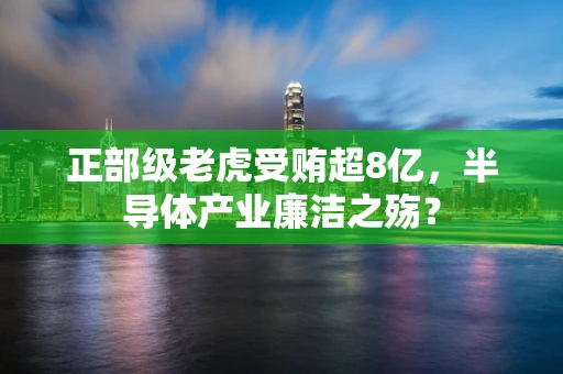 正部级老虎受贿超8亿，半导体产业廉洁之殇？