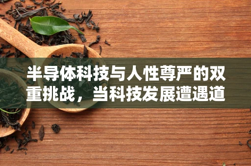 半导体科技与人性尊严的双重挑战，当科技发展遭遇道德底线