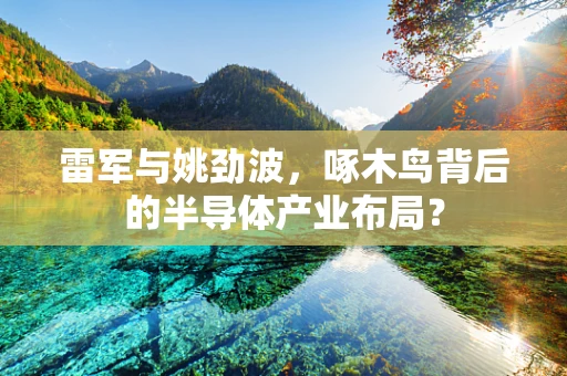 雷军与姚劲波，啄木鸟背后的半导体产业布局？