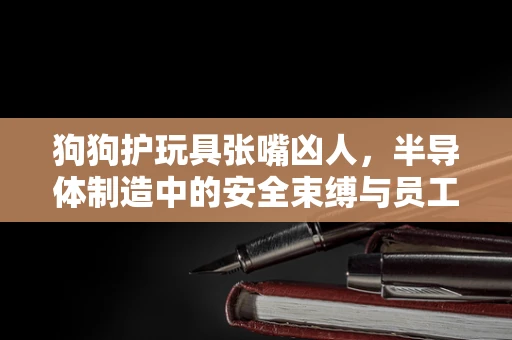 狗狗护玩具张嘴凶人，半导体制造中的安全束缚与员工激励策略
