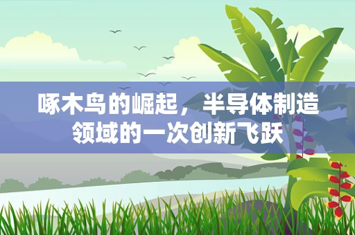 啄木鸟的崛起，半导体制造领域的一次创新飞跃