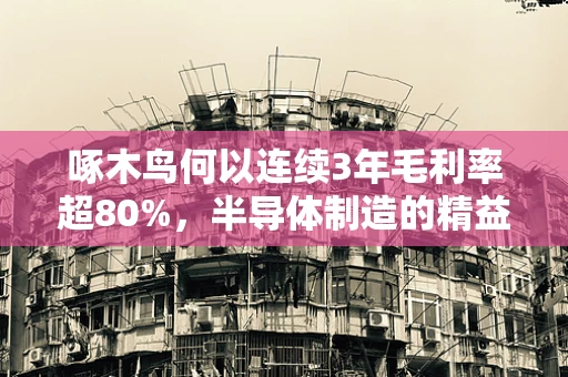 啄木鸟何以连续3年毛利率超80%，半导体制造的精益求精与市场洞察