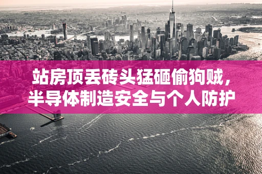 站房顶丢砖头猛砸偷狗贼，半导体制造安全与个人防护的反思