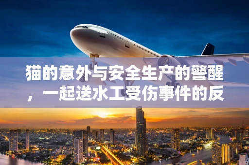 猫的意外与安全生产的警醒，一起送水工受伤事件的反思
