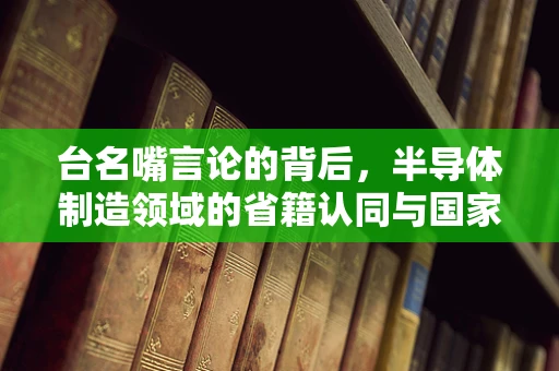 台名嘴言论的背后，半导体制造领域的省籍认同与国家利益