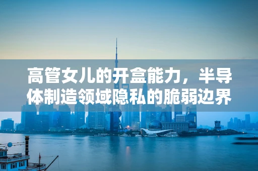 高管女儿的开盒能力，半导体制造领域隐私的脆弱边界？