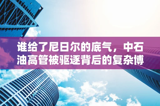 谁给了尼日尔的底气，中石油高管被驱逐背后的复杂博弈