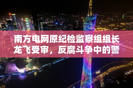南方电网原纪检监察组组长龙飞受审，反腐斗争中的警钟与行业反思