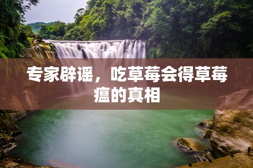 专家辟谣，吃草莓会得草莓瘟的真相
