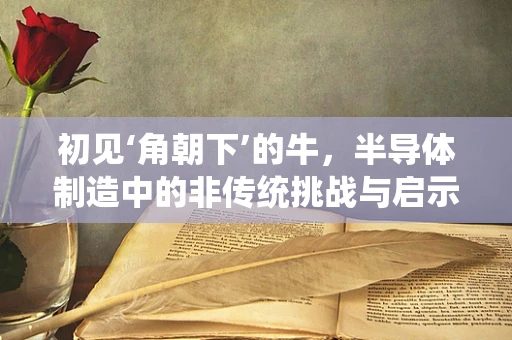 初见‘角朝下’的牛，半导体制造中的非传统挑战与启示