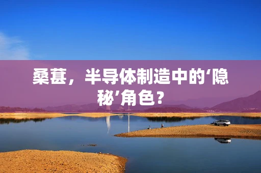 桑葚，半导体制造中的‘隐秘’角色？