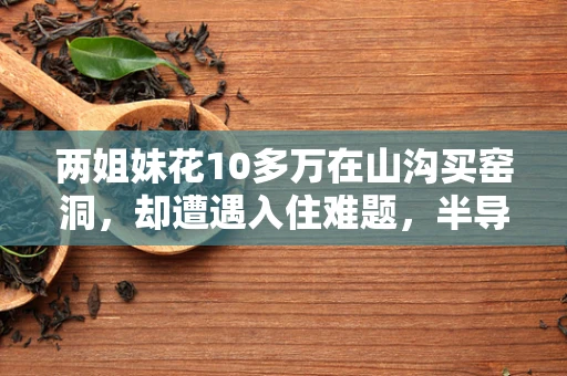 两姐妹花10多万在山沟买窑洞，却遭遇入住难题，半导体制造视角下的乡村房产投资风险