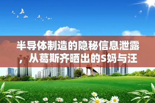 半导体制造的隐秘信息泄露，从葛斯齐晒出的S妈与汪小菲聊天截图谈起