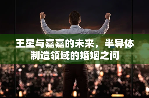 王星与嘉嘉的未来，半导体制造领域的婚姻之问