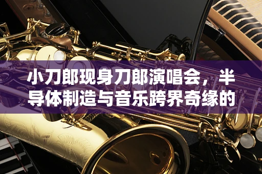 小刀郎现身刀郎演唱会，半导体制造与音乐跨界奇缘的背后？