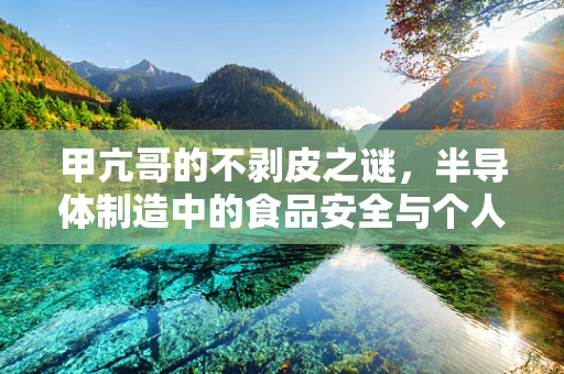 甲亢哥的不剥皮之谜，半导体制造中的食品安全与个人卫生意识