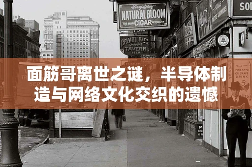 面筋哥离世之谜，半导体制造与网络文化交织的遗憾