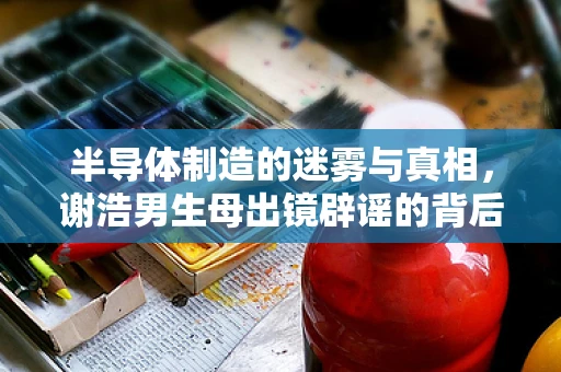 半导体制造的迷雾与真相，谢浩男生母出镜辟谣的背后