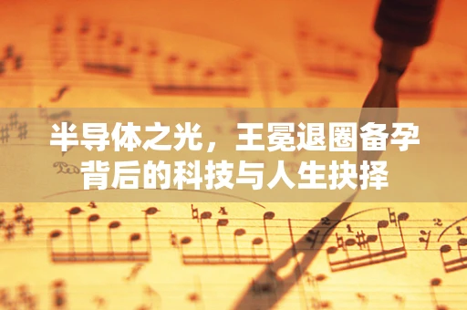 半导体之光，王冕退圈备孕背后的科技与人生抉择