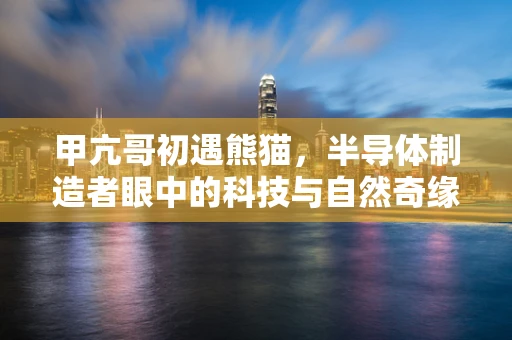 甲亢哥初遇熊猫，半导体制造者眼中的科技与自然奇缘