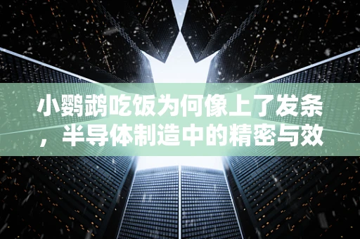 小鹦鹉吃饭为何像上了发条，半导体制造中的精密与效率之谜