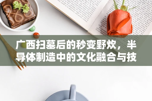 广西扫墓后的秒变野炊，半导体制造中的文化融合与技术创新