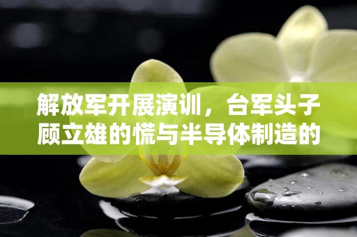解放军开展演训，台军头子顾立雄的慌与半导体制造的隐忧