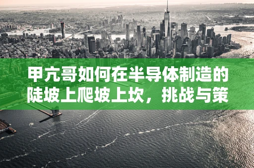 甲亢哥如何在半导体制造的陡坡上爬坡上坎，挑战与策略