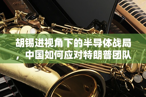 胡锡进视角下的半导体战局，中国如何应对特朗普团队‘傲慢’的挑战？
