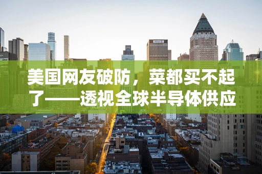美国网友破防，菜都买不起了——透视全球半导体供应链与通胀的微妙关系