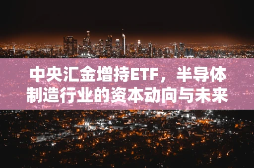 中央汇金增持ETF，半导体制造行业的资本动向与未来展望
