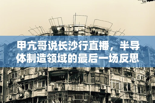 甲亢哥说长沙行直播，半导体制造领域的最后一场反思与展望
