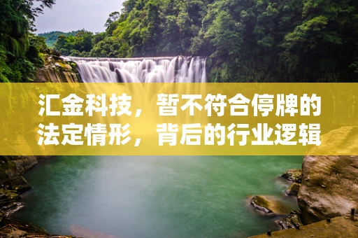 汇金科技，暂不符合停牌的法定情形，背后的行业逻辑与挑战