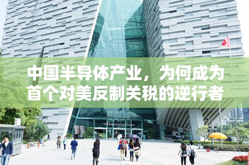 中国半导体产业，为何成为首个对美反制关税的逆行者？