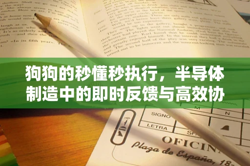 狗狗的秒懂秒执行，半导体制造中的即时反馈与高效协同