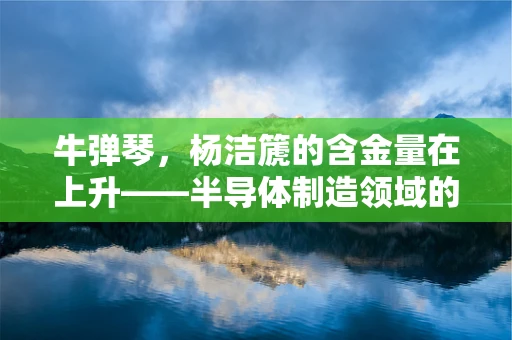 牛弹琴，杨洁篪的含金量在上升——半导体制造领域的启示与挑战