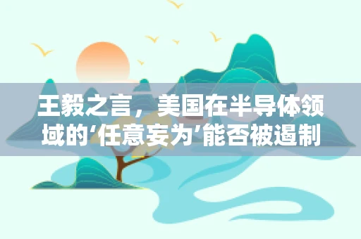 王毅之言，美国在半导体领域的‘任意妄为’能否被遏制？