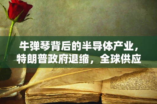 牛弹琴背后的半导体产业，特朗普政府退缩，全球供应链的未来何去何从？