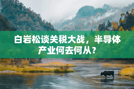 白岩松谈关税大战，半导体产业何去何从？