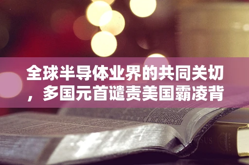 全球半导体业界的共同关切，多国元首谴责美国霸凌背后的行业影响与未来展望