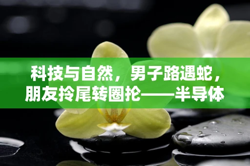 科技与自然，男子路遇蛇，朋友拎尾转圈抡——半导体制造中的安全与应急处理启示