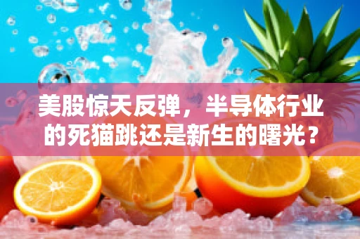 美股惊天反弹，半导体行业的死猫跳还是新生的曙光？