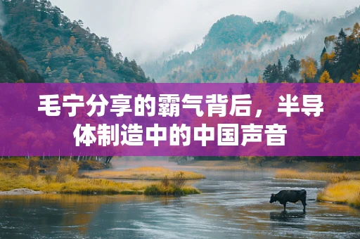 毛宁分享的霸气背后，半导体制造中的中国声音