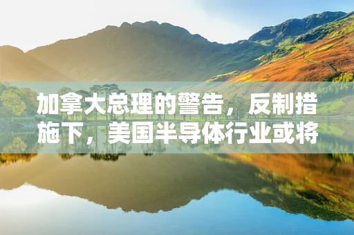 加拿大总理的警告，反制措施下，美国半导体行业或将承受最大痛楚？