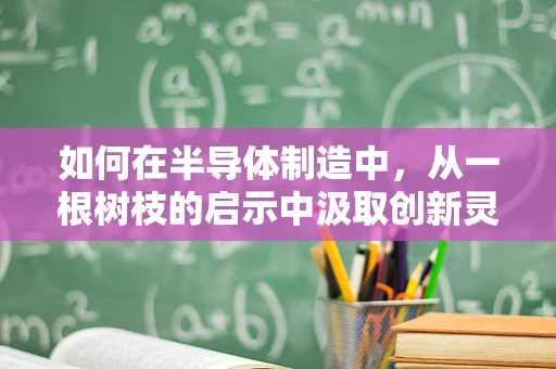 如何在半导体制造中，从一根树枝的启示中汲取创新灵感？