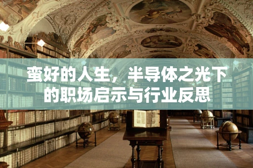 蛮好的人生，半导体之光下的职场启示与行业反思